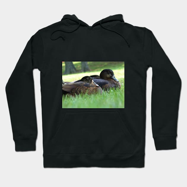 Two Ducks Resting Hoodie by NatureTrail